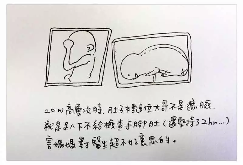 中肯哭! 31張「懷孕的心路歷程」插畫 媽媽們:老公是不是豬隊友真的有差
