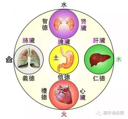 脾胃虛,頭髮差?春日補脾正當時!