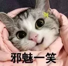 脾胃虛,頭髮差?春日補脾正當時!