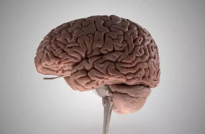90%的雷擊不會奪命!18個「今天才知道」的超驚奇人體事實