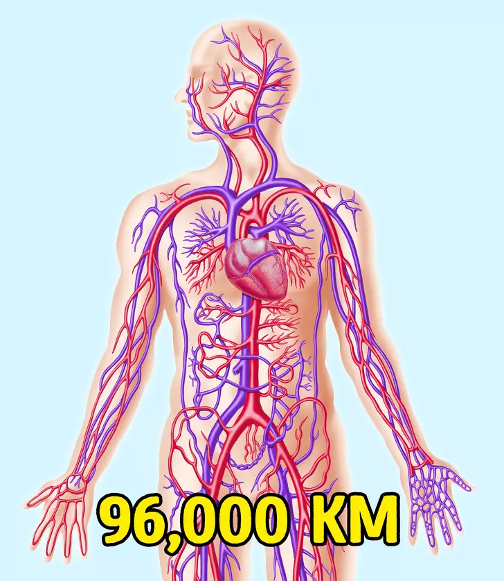 90%的雷擊不會奪命!18個「今天才知道」的超驚奇人體事實