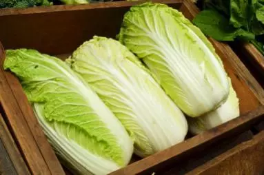 5種隔夜菜最好扔掉!原來,營養專家這樣處理剩飯剩菜