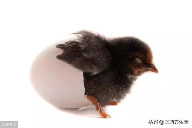 中醫教你幾招:讓你氣血充足,神采奕奕,面色紅潤!