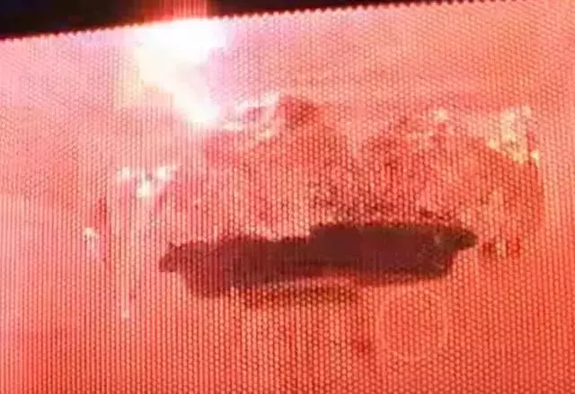 還在用微波爐加熱這些?這份易燃易爆危險名單快收好!