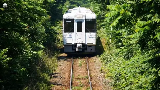 坐過日本這5列美食火車,才懂什麼是真正的食色之旅!