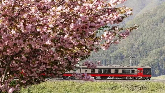 坐過日本這5列美食火車,才懂什麼是真正的食色之旅!