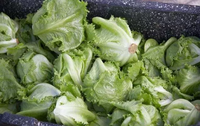 22種家庭自製豆漿配方,和外面的豆漿一樣香,省錢還好喝!!!