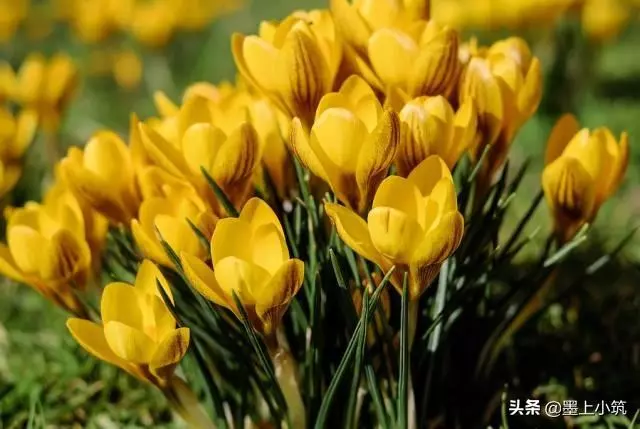 時間 它能把真的留下, 把假的剔除。 它能見證人品, 也能看清人心。