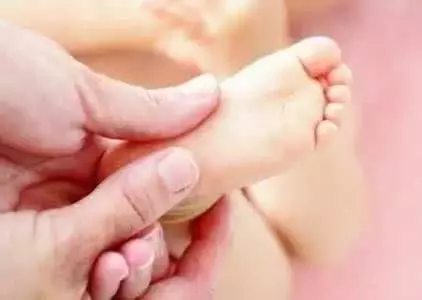 你以為身上的包是蚊子咬的?其實並不是!如果你家有,趕快清理掉!