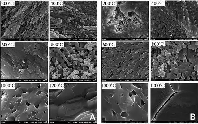 科學角度解釋:舍利子究竟是什麼?