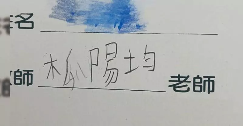 老師叫做「木瓜陽均」讓媽媽超困惑!PO網求救「兒子堅持沒寫錯」大家卻說孩子是對的!