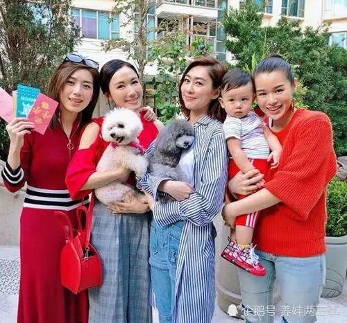 39歲胡杏兒挺孕肚國外地鐵被偶遇,兒子李奕霆吐舌頭賣萌,簡直萌爆了,網友:期待二胎~