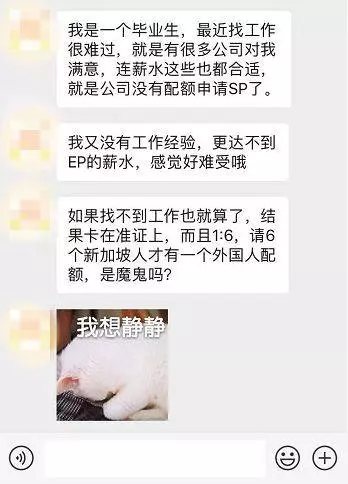 10幾萬人外國人受影響 新加坡工作準證EP, SP, WP更難申請!