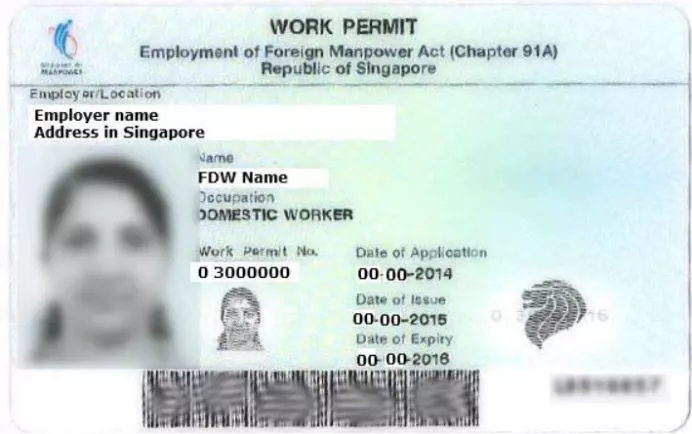 10幾萬人外國人受影響 新加坡工作準證EP, SP, WP更難申請!