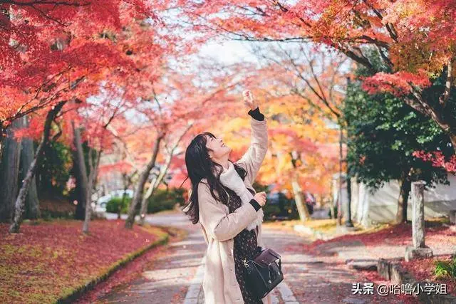 剛結婚婆婆就問我借8萬,拿錢送去聽到了這些話後,我決定再給5萬
