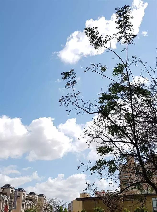 不只路平 網友秀高雄「藍天」照笑:綠綠 又要崩潰了
