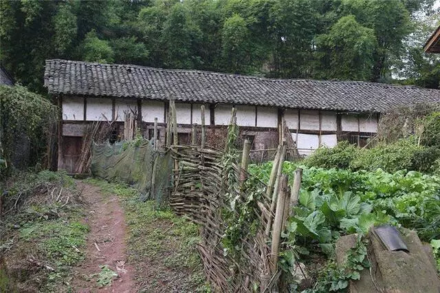 我懷孕老公讓婆婆來照顧我,沒過幾個月,我和老公卻要離婚了