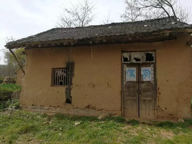 那年我和哥哥成了孤兒,遠方的舅爺爺收留了我倆,如今我要報恩