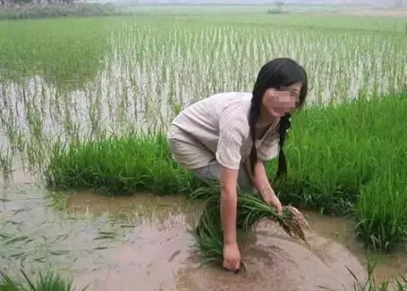有了錢的小叔子,常年不回家,出了意外被送回家,我罵他自私