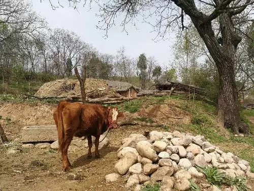 我在醫院伺候婆婆,回家發現老公和前妻在一起,我給前妻送2萬元