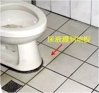尿騷味超難除?放了TA就能有效『去掉異味』, 還你清新芳香?の廁所啦!網親證:有效!