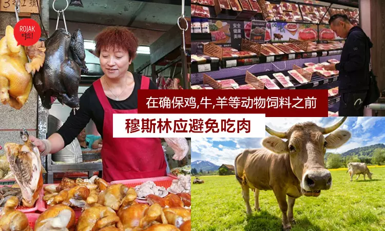 在未確認「動物飼料」是否Halal之前,檳消協:穆斯林應避免吃肉……