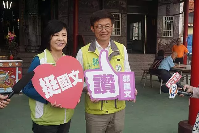 台南立委補選不妙?謝寒冰笑:蔡政府「國文、英文」死當