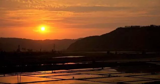 「大哭而來,靜靜地走」不插管、不氣切、不設靈堂告別式,沈富雄的8點準遺言