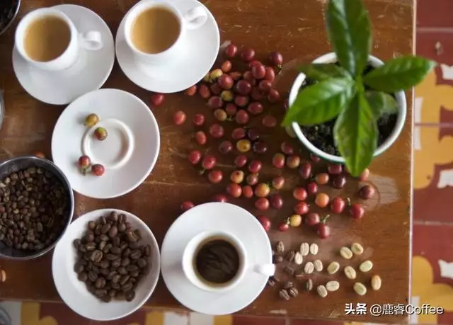 爆炸中產生的法式烘焙,微妙就在十幾秒內發生