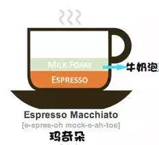 每天都靠咖啡來續命,你知道咖啡有多少種嗎?