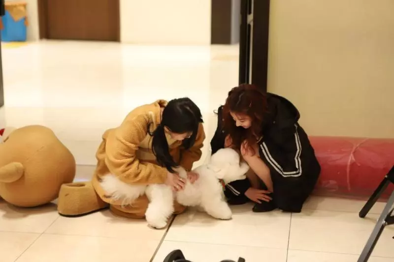 [TWICE][分享]190222 泰國街頭偶遇TWICE！活捉正在購物的彩瑛-定延