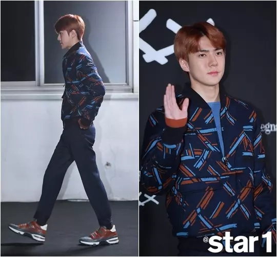 [EXO][新聞]190222 鋼鐵直男也能和花瓣完美相融，DO登《韓流ぴあ》3月刊