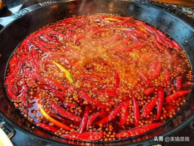 如何吃垃圾食品,讓你邊吃變瘦!