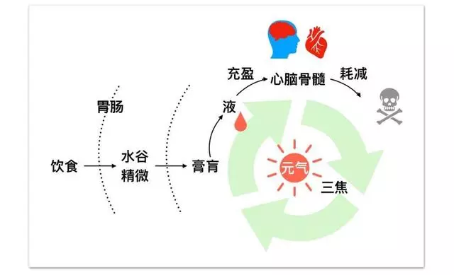上有火、下有寒,原來是中焦不通