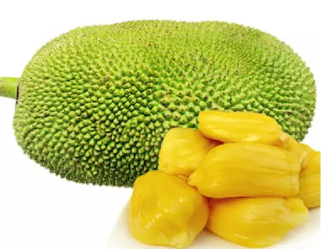 新鮮藏不住!馬來西亞這幾種水果便宜又好吃!聽說過獨古嗎?