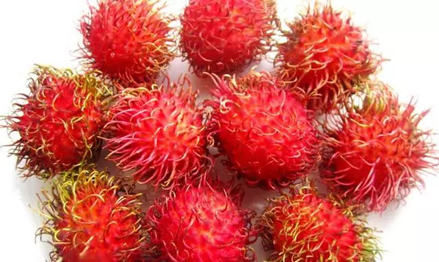 新鮮藏不住!馬來西亞這幾種水果便宜又好吃!聽說過獨古嗎?