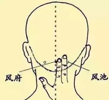 穴位圖解,功效和作用!收了吧!