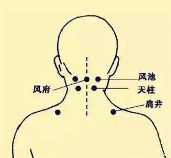 穴位圖解,功效和作用!收了吧!