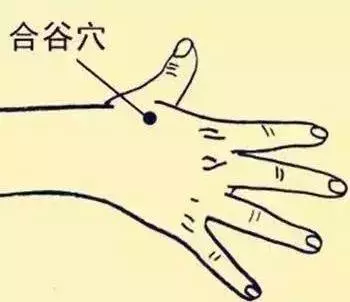 穴位圖解,功效和作用!收了吧!