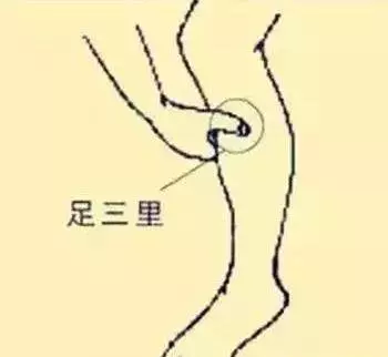 穴位圖解,功效和作用!收了吧!