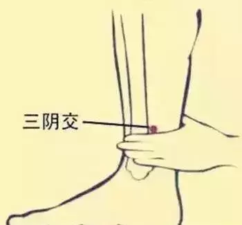穴位圖解,功效和作用!收了吧!