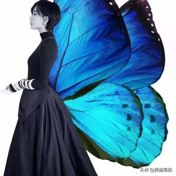 3招叫停腰痛,讓你腰部活力如初,擁有少女腰!