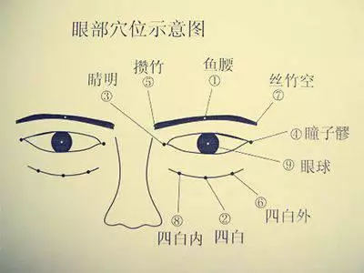 上海中醫大:近視推拿穴位