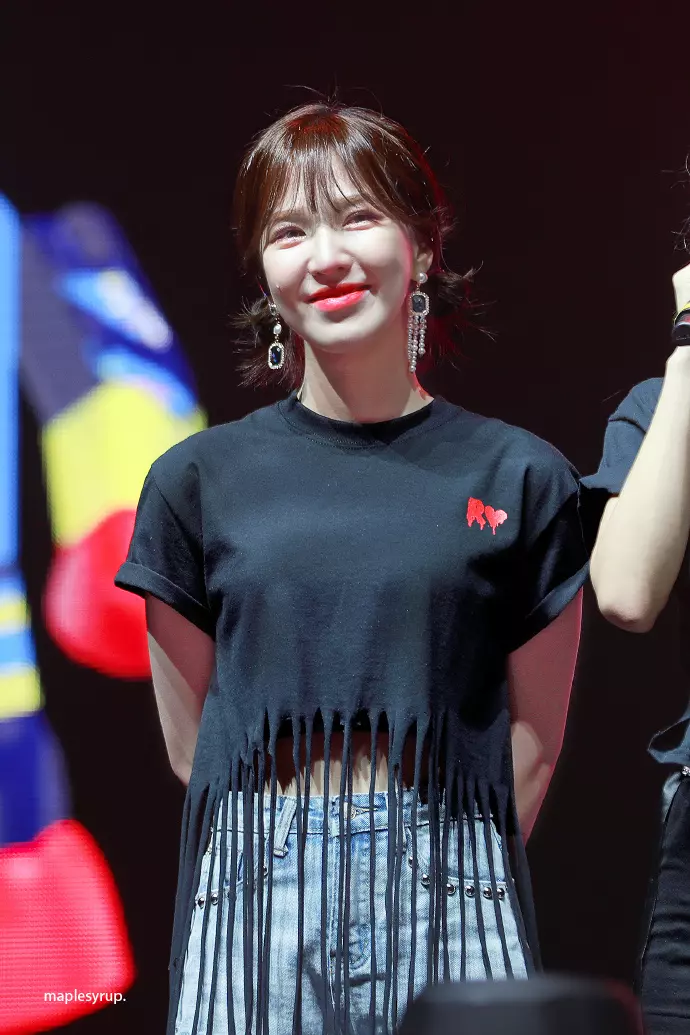 [Red Velvet][分享]190222 變身淚海的RedVelvet多倫多演唱會「Welcome Home Wen