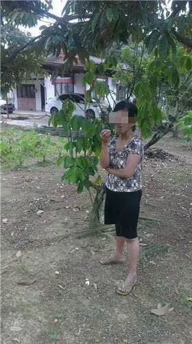 保健產品害死了我太太,避免又有受害者,趕緊看看!