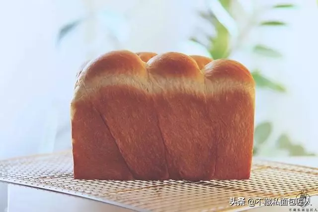 麵包製作中最容易犯的4個錯誤,你中槍了嗎?