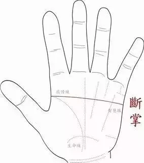 左手斷掌有富貴命!女人有這「4種手相」最好命!