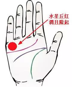 左手斷掌有富貴命!女人有這「4種手相」最好命!