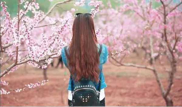 我用老公手機發紅包安慰離婚的小姑子,看到回復俺離婚了