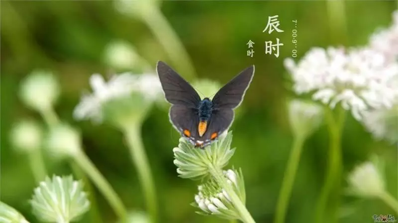 大師說:這4個時辰出生的人,天生人上人,男有權女有財,越老越有錢